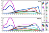 Gait analysis report with TOG Gaitscan equipment