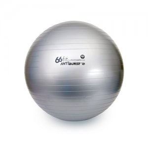 Gym Bal 65cml